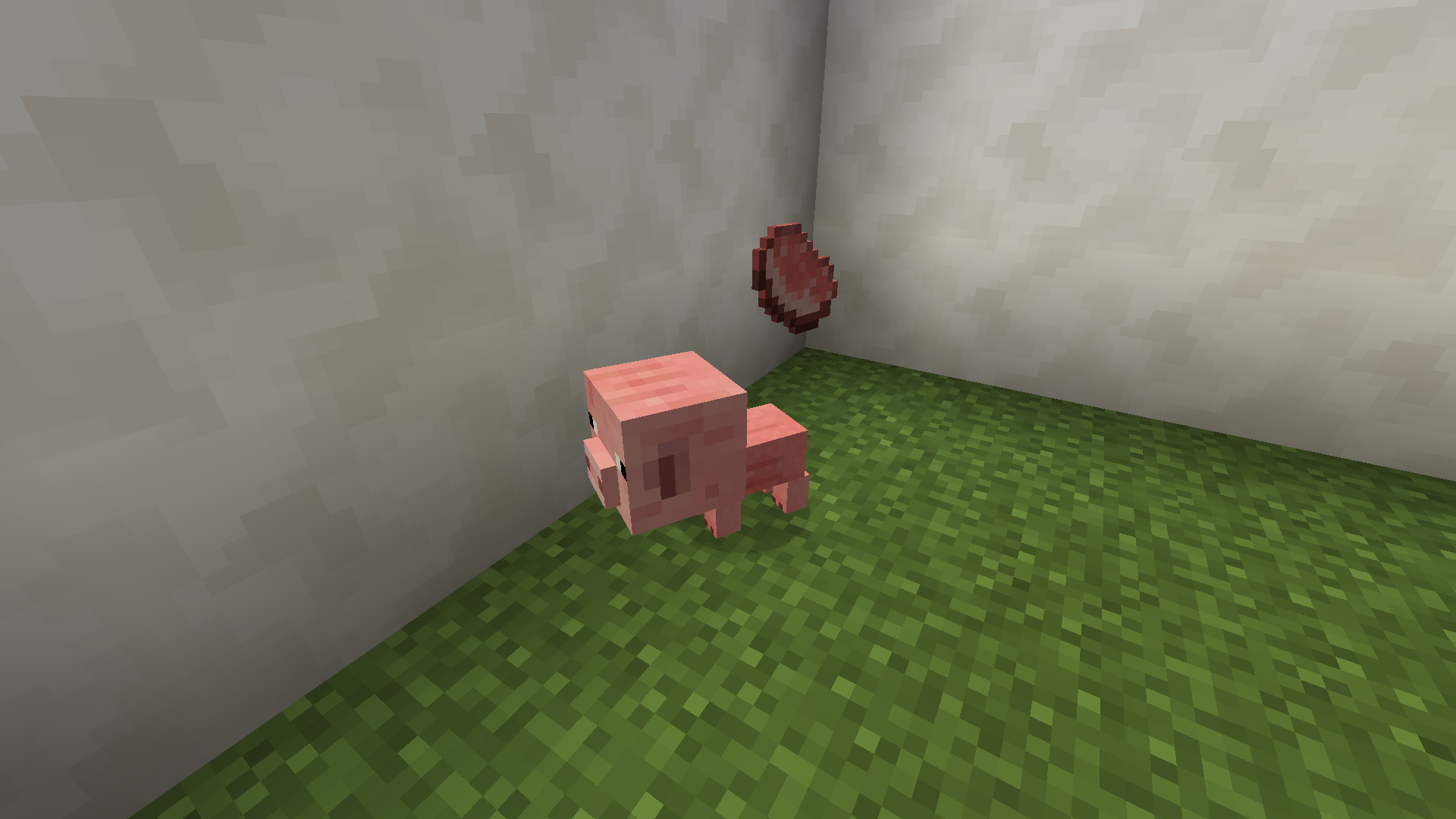 Pet Piggy
